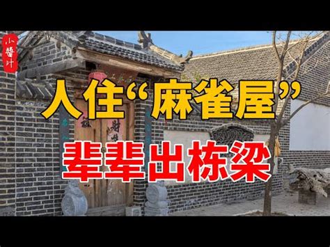 麻雀进屋什么意思|【麻雀進屋什麼意思】麻雀進宅，吉兆還是凶兆？揭秘麻雀進屋背。